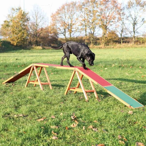 TRIXIE Dog Agility Dogwalk, Canine Agility Training, Obedience Training – Bild 2